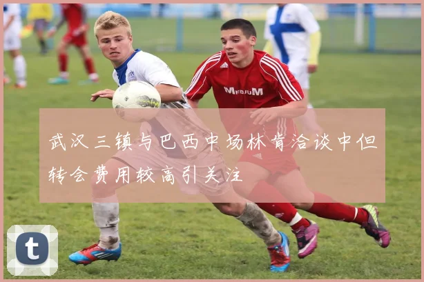 武汉三镇与巴西中场林肯洽谈中但转会费用较高引关注