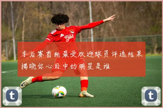 季后赛首轮最受欢迎球员评选结果揭晓你心目中的明星是谁