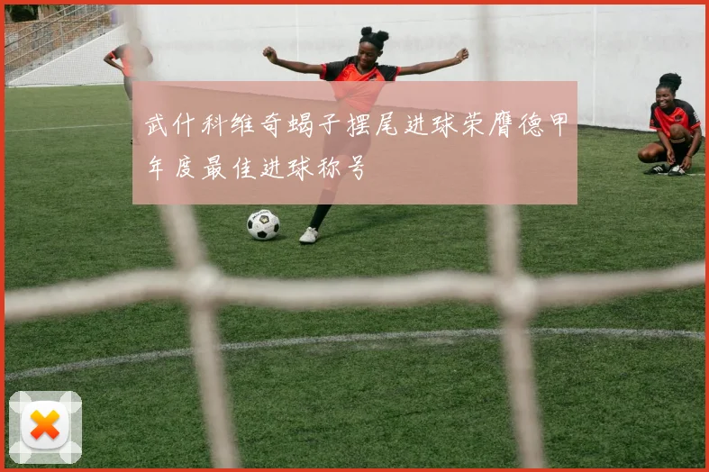武什科维奇蝎子摆尾进球荣膺德甲年度最佳进球称号